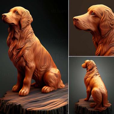 3D model The Nova Scotia Retriever dog (STL)